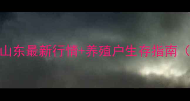 图片 高密鸡蛋价格全山东最新行情+养殖户生存指南（附详细数据表）