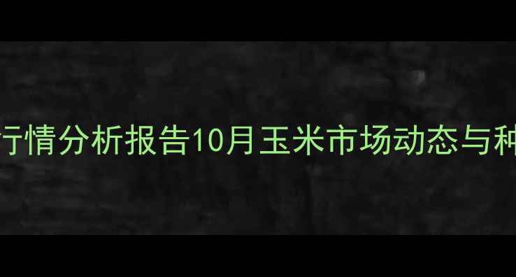 图片 高平玉米价格行情分析报告10月玉米市场动态与种植户应对指南