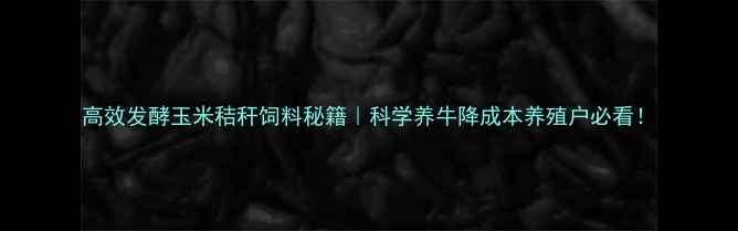 图片 高效发酵玉米秸秆饲料秘籍｜科学养牛降成本养殖户必看！