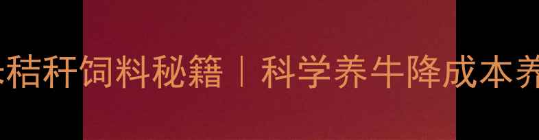 图片 高效发酵玉米秸秆饲料秘籍｜科学养牛降成本养殖户必看！1