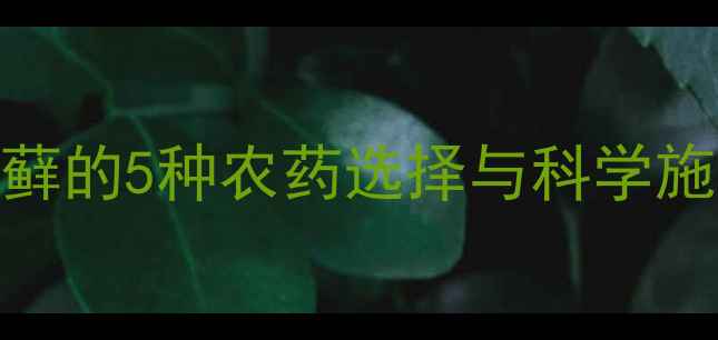 图片 高效安全！园林养护中防治苔藓的5种农药选择与科学施用指南（附草坪管理全流程）