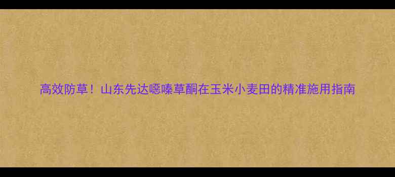图片 高效防草！山东先达噁嗪草酮在玉米小麦田的精准施用指南