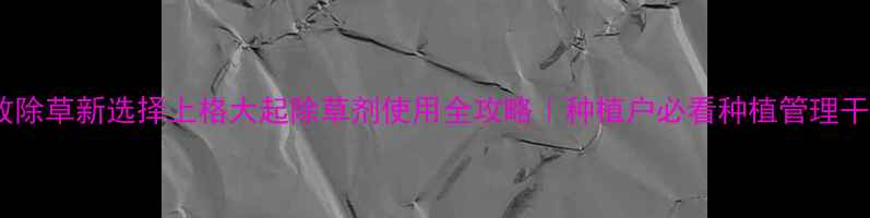 图片 高效除草新选择上格大起除草剂使用全攻略｜种植户必看种植管理干货1