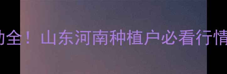 图片 高温豆箔价格波动全！山东河南种植户必看行情趋势与避坑指南1