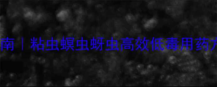 图片 高粱虫害科学防治指南｜粘虫螟虫蚜虫高效低毒用药方案+全流程操作详解