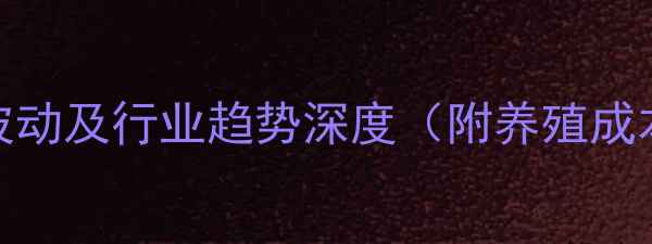 图片 鸭肉市场价格波动及行业趋势深度（附养殖成本与销售策略）