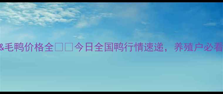 图片 鸭苗&毛鸭价格全🐔📊今日全国鸭行情速递，养殖户必看！🔥