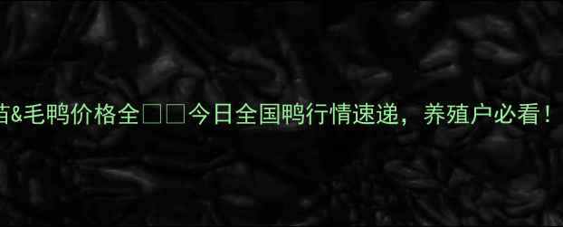 图片 鸭苗&毛鸭价格全🐔📊今日全国鸭行情速递，养殖户必看！🔥1