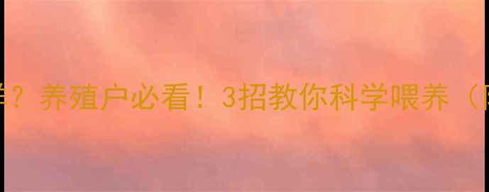 图片 鹦鹉吃多油脂饲料会怎样？养殖户必看！3招教你科学喂养（附症状识别与解决方案）