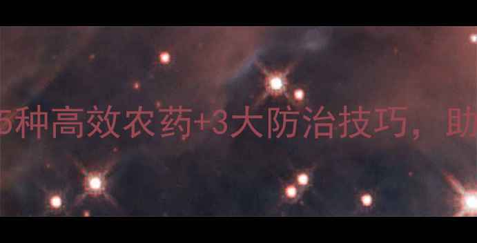 图片 黄瓜白粉病全攻略：5种高效农药+3大防治技巧，助您轻松应对病害侵袭