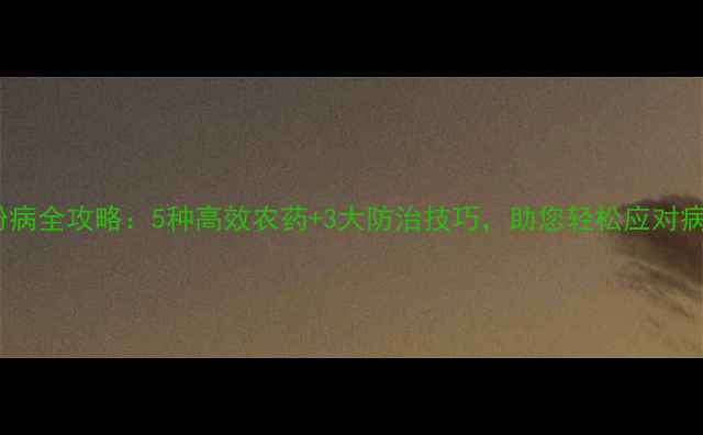 图片 黄瓜白粉病全攻略：5种高效农药+3大防治技巧，助您轻松应对病害侵袭1