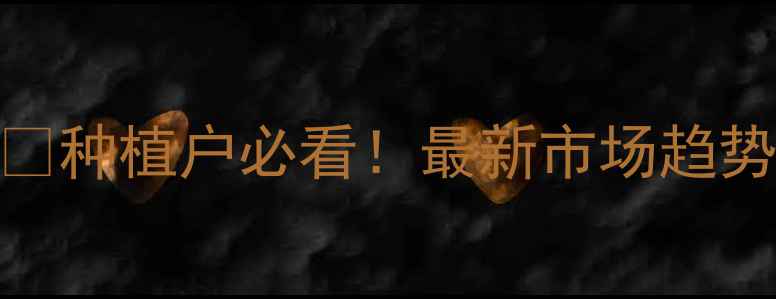 图片 黄豆价格行情深度🌱种植户必看！最新市场趋势+种植建议全公开1