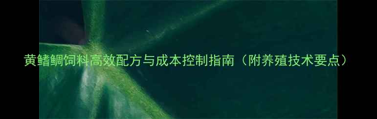 图片 黄鳍鲷饲料高效配方与成本控制指南（附养殖技术要点）