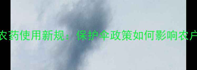 图片 龙江地区农药使用新规：保护伞政策如何影响农户与环保？