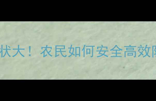 图片 🌍全球杀虫剂使用现状大！农民如何安全高效防虫？附最新指南🌱1