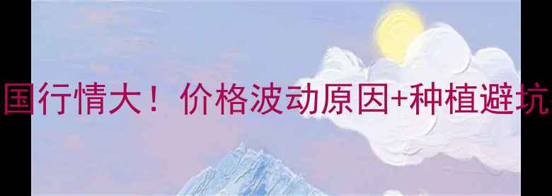图片 🌞西瓜价格全国行情大！价格波动原因+种植避坑指南全公开🍉