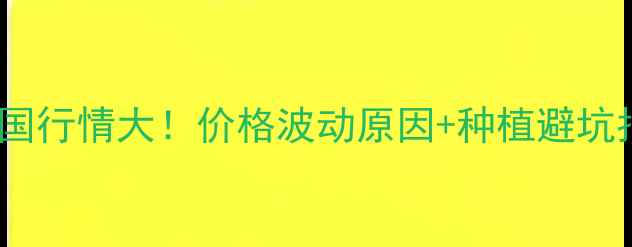 图片 🌞西瓜价格全国行情大！价格波动原因+种植避坑指南全公开🍉1