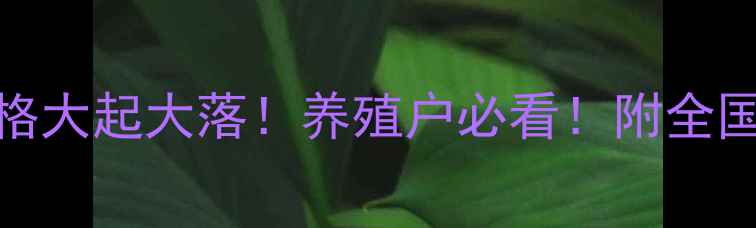 图片 🌟5月8日全国鸡蛋价格大起大落！养殖户必看！附全国详细行情+未来预测1