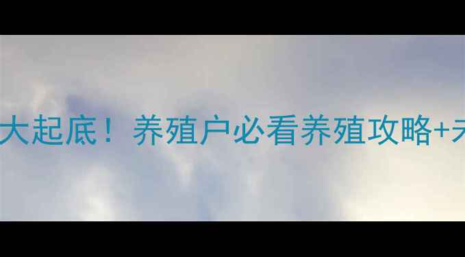 图片 🌟全国生猪价格大起底！养殖户必看养殖攻略+未来趋势预测🐷1
