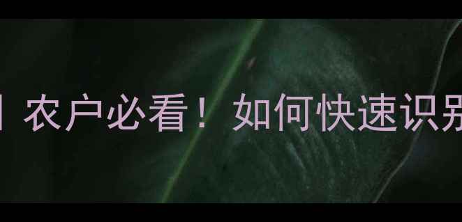 图片 🌟农药爱苗包装设计｜农户必看！如何快速识别正规包装与使用技巧