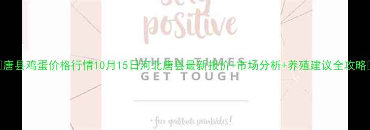图片 🌟唐县鸡蛋价格行情10月15日河北唐县最新报价+市场分析+养殖建议全攻略🥚