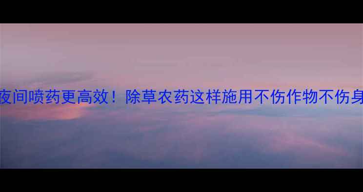 图片 🌟夜间喷药更高效！除草农药这样施用不伤作物不伤身🌟