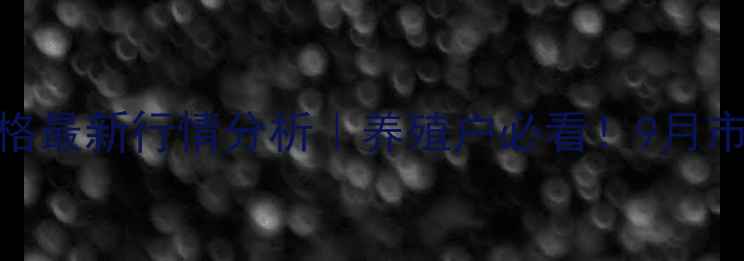 图片 🌟张家口生猪价格最新行情分析｜养殖户必看！9月市场动态全解读🐷