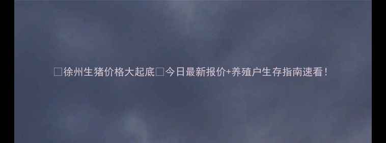 图片 🌟徐州生猪价格大起底🔥今日最新报价+养殖户生存指南速看！
