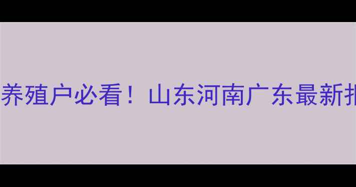 图片 🌟毛鸡817价格行情深度养殖户必看！山东河南广东最新报价+养殖成本全公开📊1