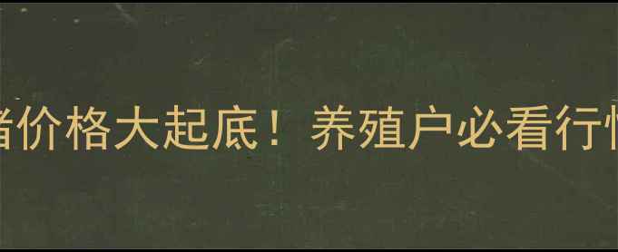 图片 🌟河南今日肥猪价格大起底！养殖户必看行情+养殖攻略🐷1