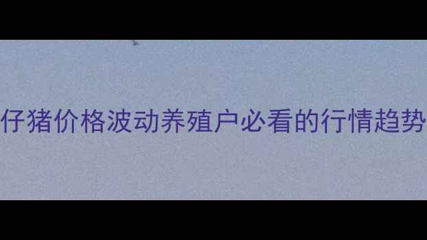 图片 🌟泊头市外三元仔猪价格波动养殖户必看的行情趋势与养殖建议🐷💰