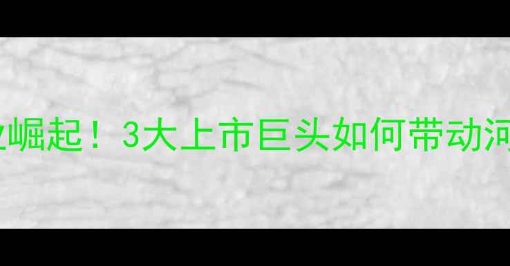图片 🌟郑州本土饲料企业崛起！3大上市巨头如何带动河南农业升级？🐟🚜1