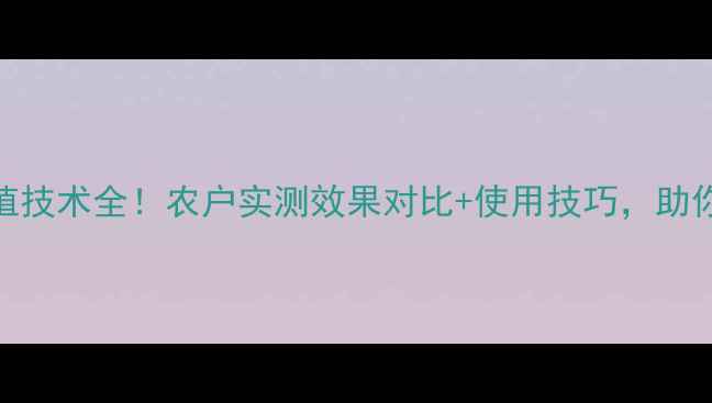 图片 🌟金龙宝农药种植技术全！农户实测效果对比+使用技巧，助你增产增收指南🌾