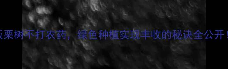 图片 🌰板栗树不打农药，绿色种植实现丰收的秘诀全公开！🌱