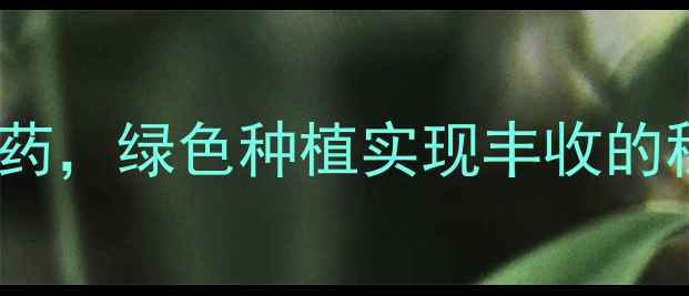 图片 🌰板栗树不打农药，绿色种植实现丰收的秘诀全公开！🌱1