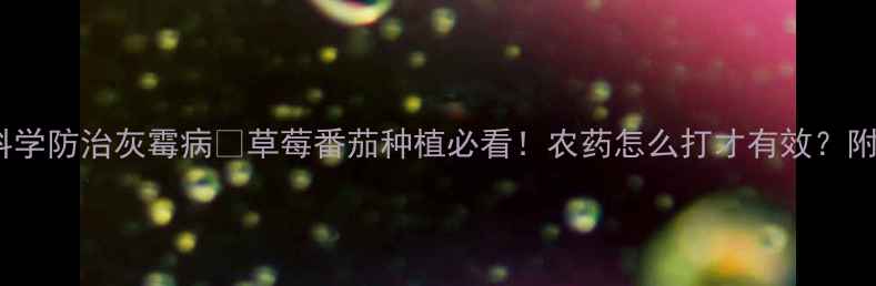 图片 🌱5大技巧教你科学防治灰霉病🍓草莓番茄种植必看！农药怎么打才有效？附懒人版操作指南