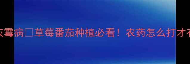 图片 🌱5大技巧教你科学防治灰霉病🍓草莓番茄种植必看！农药怎么打才有效？附懒人版操作指南1