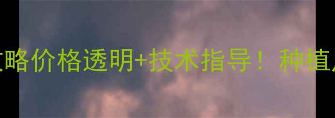 图片 🌱京博农化农药批发全攻略价格透明+技术指导！种植户必看的省钱省心指南💰