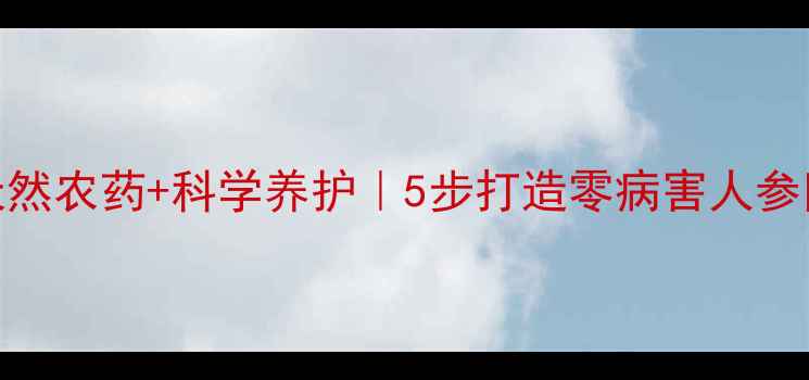 图片 🌱人参种植必看天然农药+科学养护｜5步打造零病害人参田｜附用药指南🌿