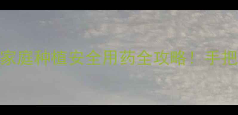 图片 🌱农药速测卡保姆级教程｜家庭种植安全用药全攻略！手把手教你3步辨别农药残留🌞1