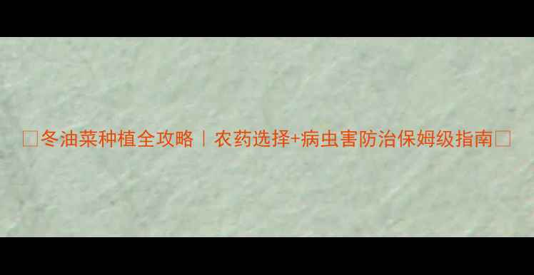图片 🌱冬油菜种植全攻略｜农药选择+病虫害防治保姆级指南🌾