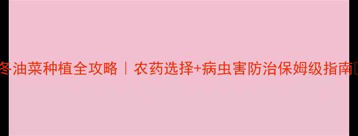 图片 🌱冬油菜种植全攻略｜农药选择+病虫害防治保姆级指南🌾1