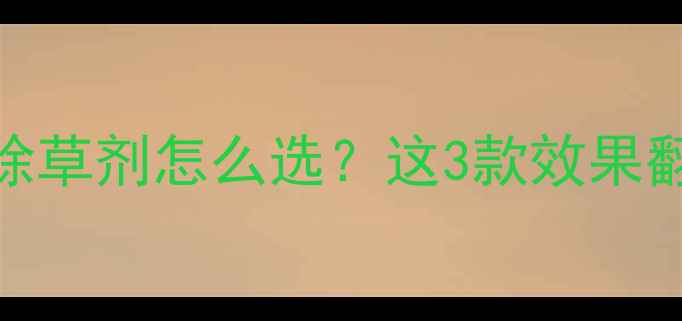图片 🌱必看！洋葱苗田除草剂怎么选？这3款效果翻倍，新手必收藏！