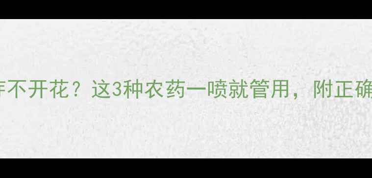 图片 🌱植物只发芽不开花？这3种农药一喷就管用，附正确使用教程🌸1