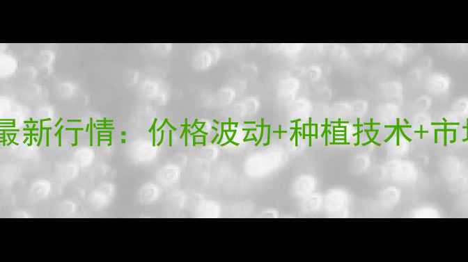 图片 🌱淮阳大蒜最新行情：价格波动+种植技术+市场动态全🌱1