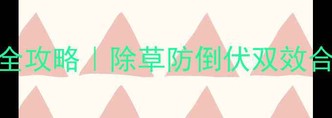 图片 🌱烟嘧莠氟吡使用全攻略｜除草防倒伏双效合一，农民必看！💡