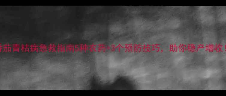 图片 🌱番茄青枯病急救指南5种农药+3个预防技巧，助你稳产增收！🍅