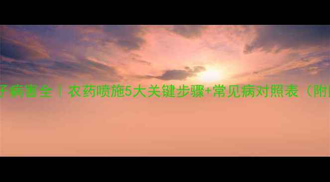 图片 🌱竹子病害全｜农药喷施5大关键步骤+常见病对照表（附图）1