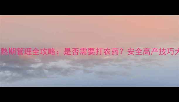 图片 🌱莴笋成熟期管理全攻略：是否需要打农药？安全高产技巧大公开！1
