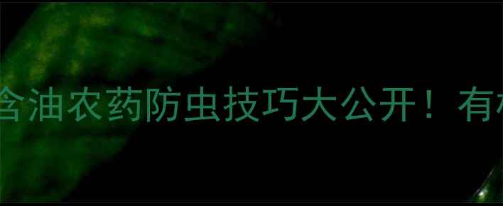 图片 🌱西葫芦种植新发现含油农药防虫技巧大公开！有机种植更省心指南🌾1